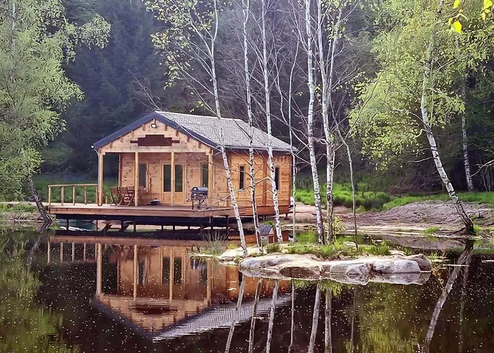 Cabane Pilotis Sur Etang, Au Lac De Chaumecon