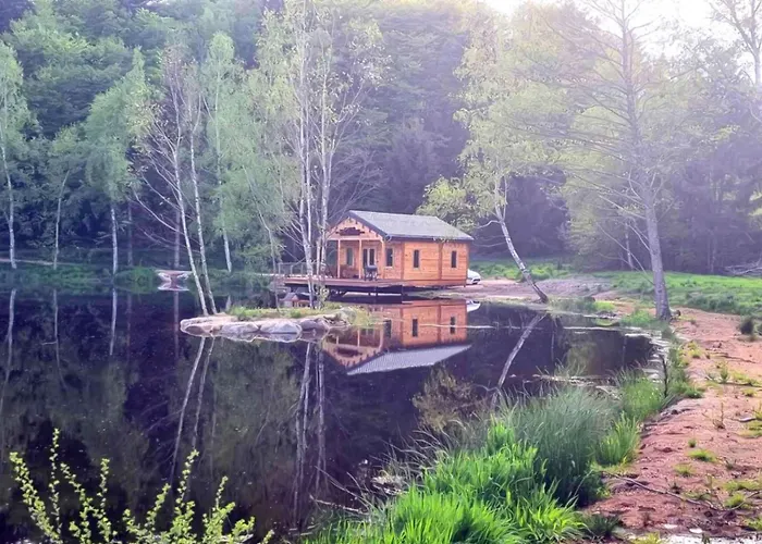 Cabane Pilotis Sur Etang, Au Lac De Chaumecon